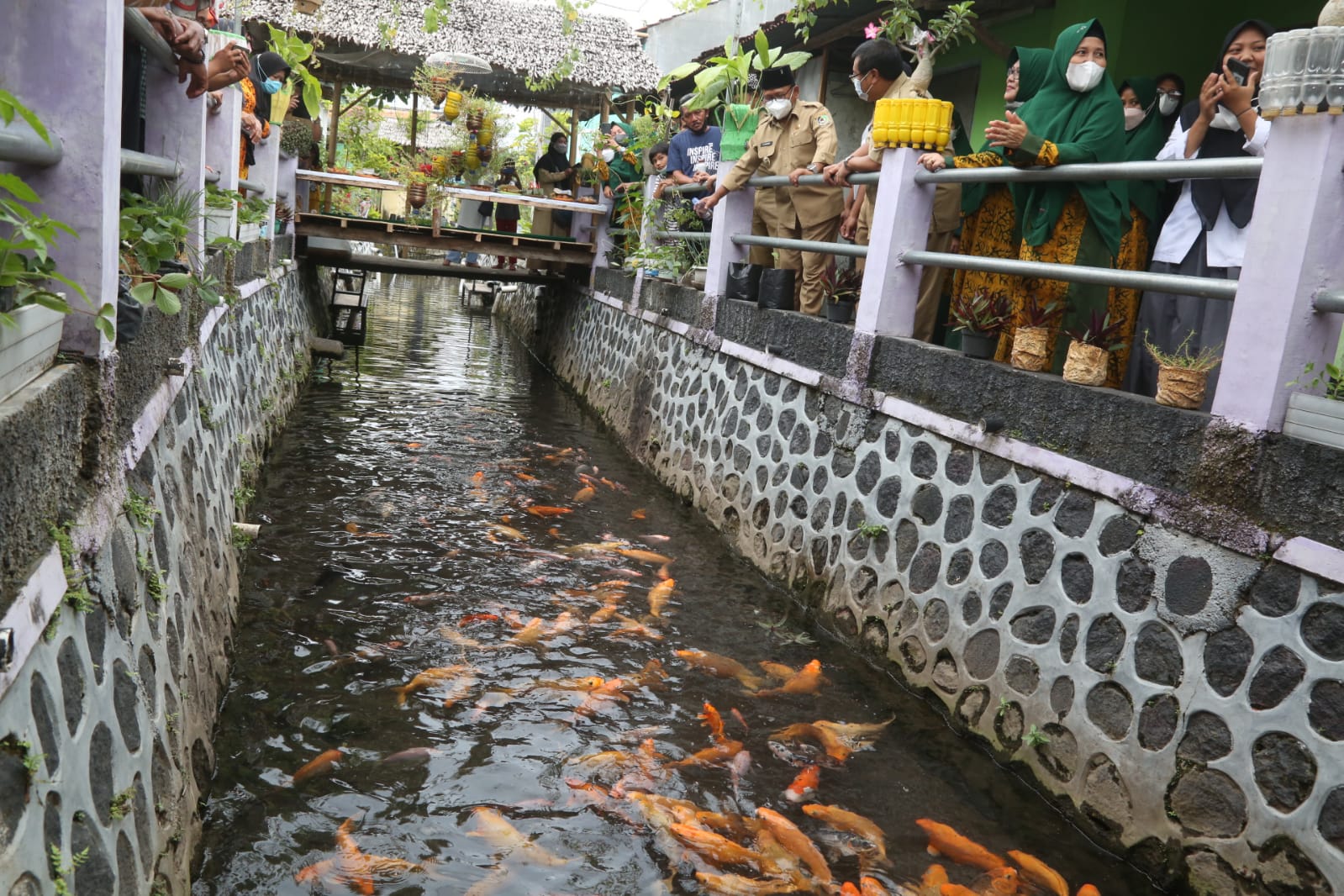 Komunitas di Banyuwangi Ubah Sungai Penuh Sampah Jadi Sentra Ikan dan Tanaman Pangan