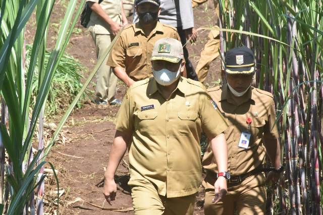 Pemkab Malang Dukung Ekskavasi Penyelamatan Situs Srigading Era Mpu Sindok