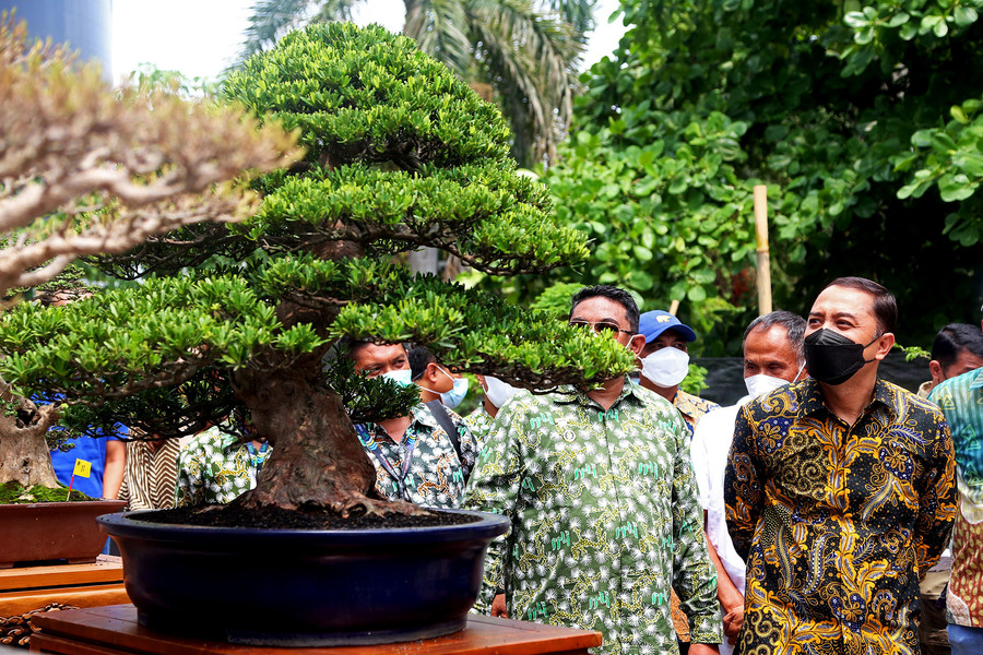 950 Pohon Bonsai Dipamerkan pada Kontes Nasional di Surabaya, Wali Kota Eri: Kebangkitan Awal UMKM