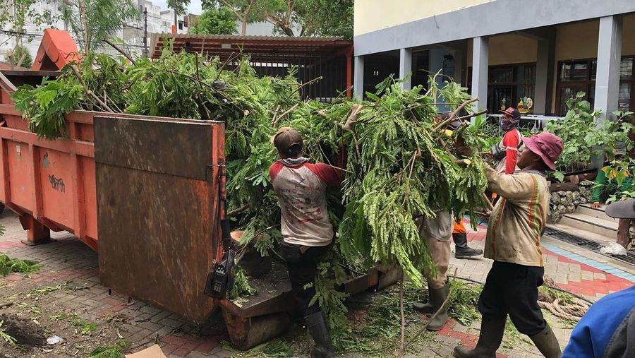 Pemkot Surabaya Olah Hasil Perantingan Pohon Jadi Kursi hingga Bahan Bakar Listrik