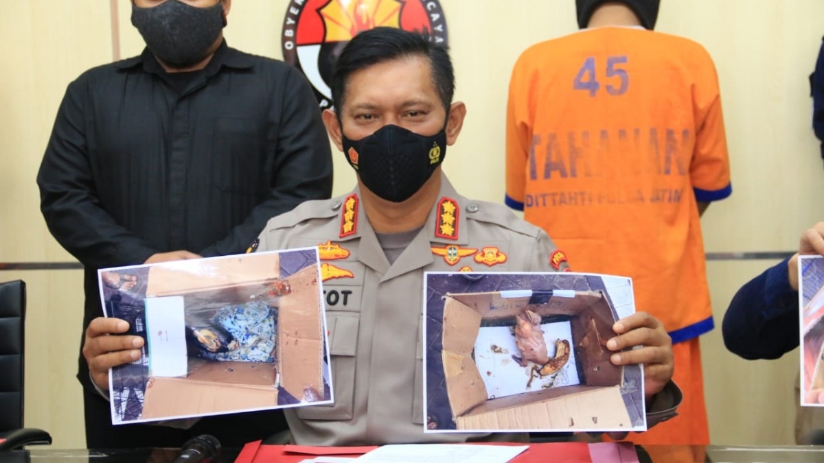 Polda Jatim Bongkar Jaringan Perdagangan Gelap Satwa Dilindungi di Tulungagung dan Jember