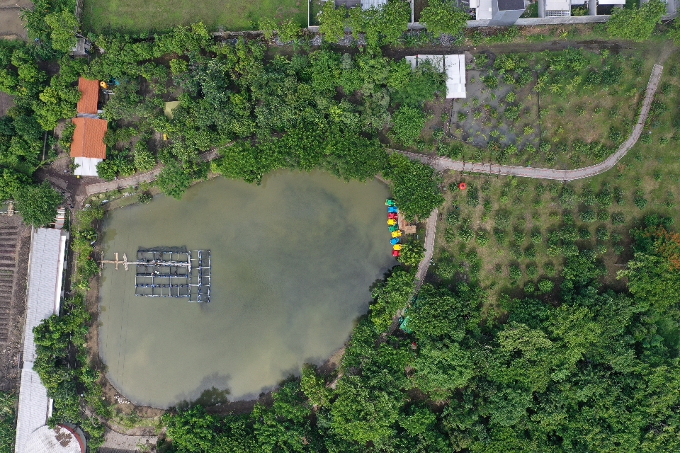 Akibat Lonjakan Covid-19, Taman Kota hingga Taman Hutan Raya se-Surabaya Ditutup