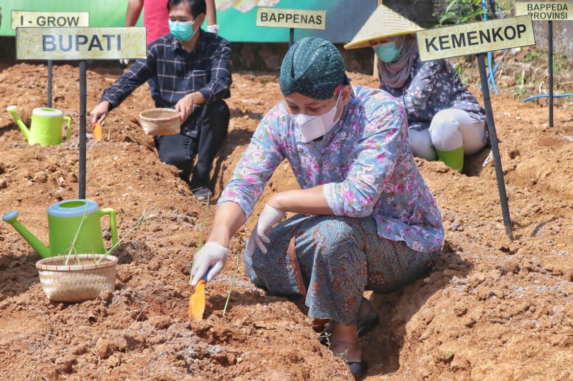 Bupati Trenggalek Dorong Jahe Merah Jadi Komoditas Unggulan