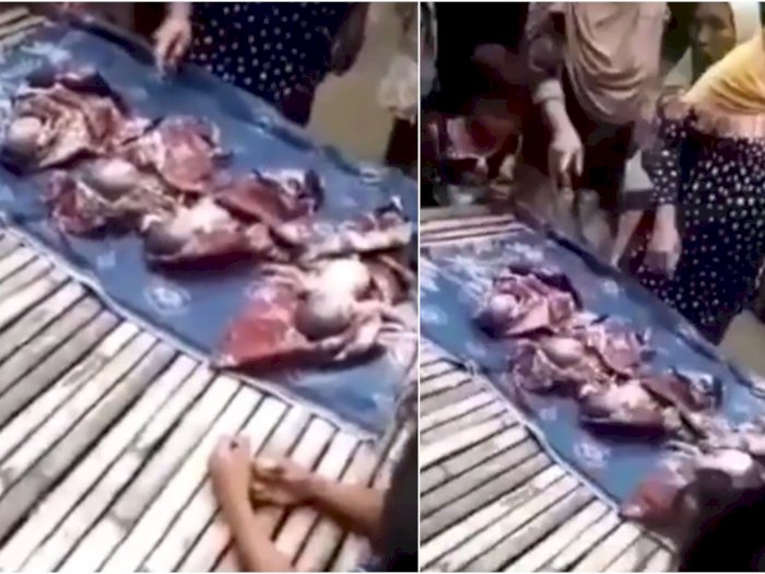 Viral, Ibu Lahirkan 4 Bayi tanpa Pertolongan, Akhirnya Meninggal